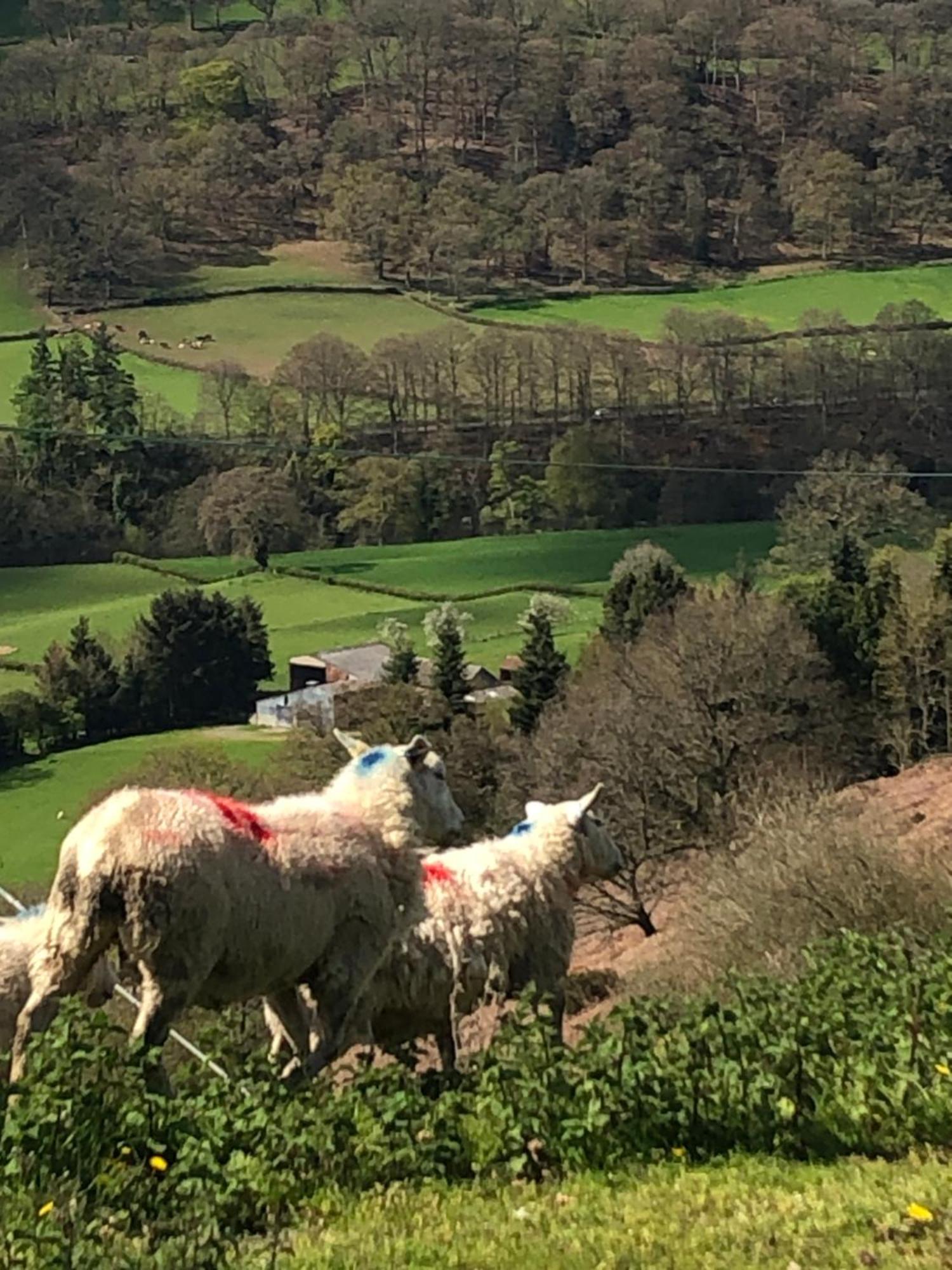 Bed and Breakfast The Skreen Builth Wells Exteriér fotografie